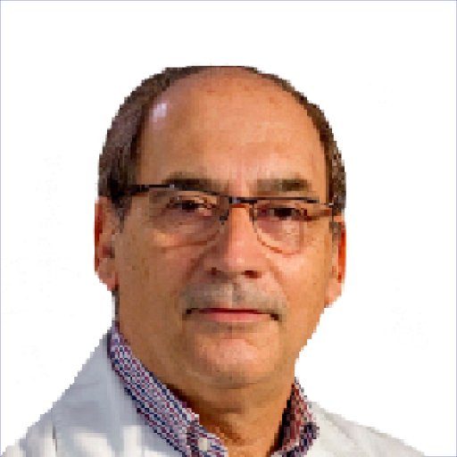 Manuel Novales